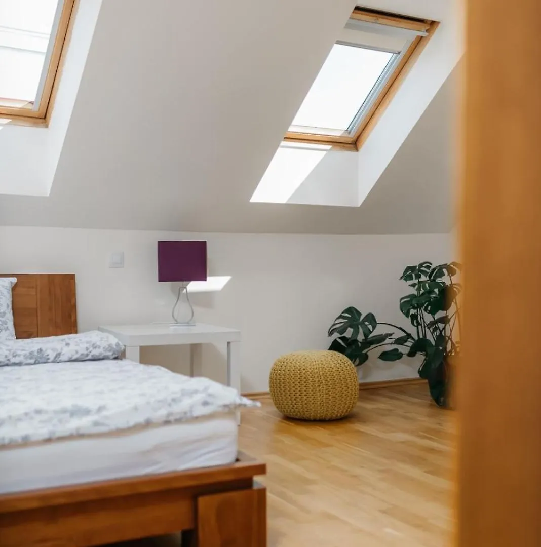 Apartment Eli Spacious Apt With Old Town View, Parking & Ac Prague