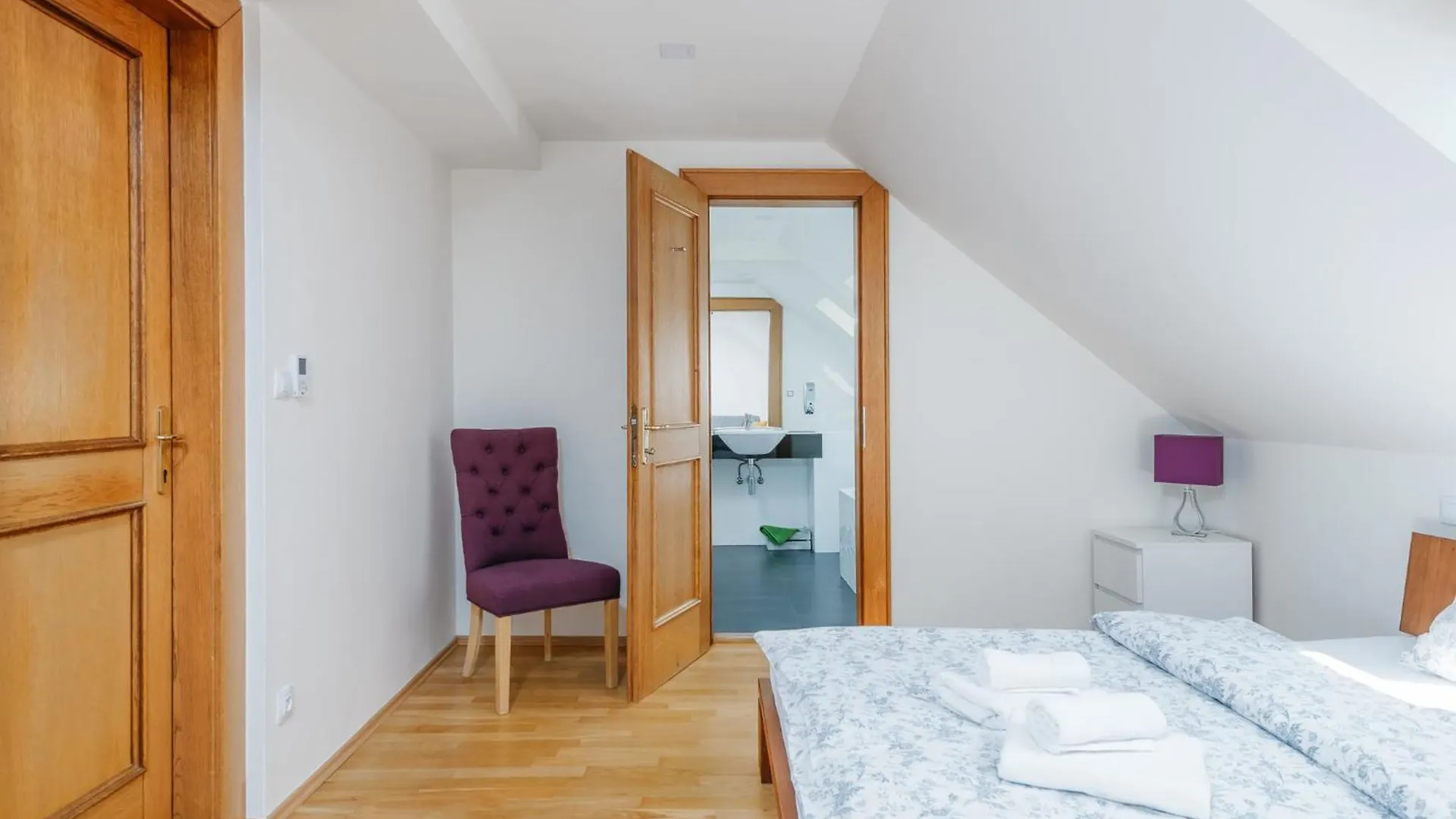 Apartment Eli Spacious Apt With Old Town View, Parking & Ac Prague